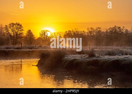 Waverley Lane, Elstead. 23rd. Februar 2022. Ein kalter und frostiger Start in den Tag für die Heimatkreise. Frostige Bedingungen entlang des River Wey bei Thundry Meadows in Elstead, in der Nähe von Godalming, in Surrey. Kredit: james jagger/Alamy Live Nachrichten Stockfoto