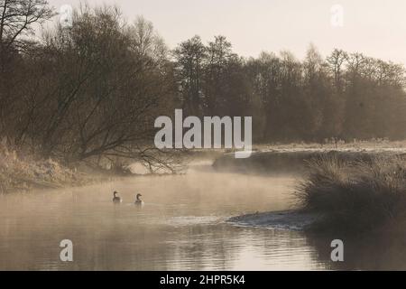 Waverley Lane, Elstead. 23rd. Februar 2022. Ein kalter und frostiger Start in den Tag für die Heimatkreise. Frostige Bedingungen entlang des River Wey bei Thundry Meadows in Elstead, in der Nähe von Godalming, in Surrey. Kredit: james jagger/Alamy Live Nachrichten Stockfoto