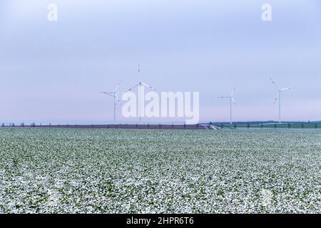 Windgeneratoren im Winter Landschaft an einem nebligen Tag Stockfoto