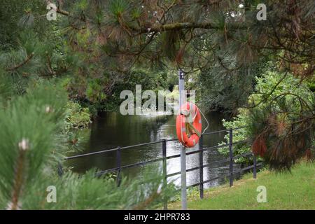 Orangefarbene Schwimmweste in der Nähe eines Flusses in einem Park zwischen Bäumen und Ästen. Grüne Wiesen und Sträucher. Cork. Irland. Stockfoto