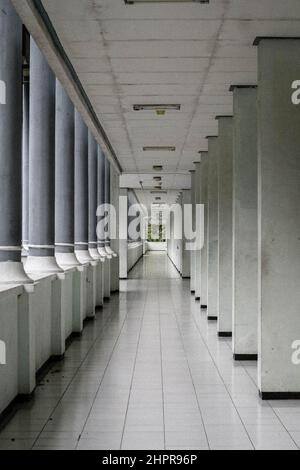 Leerer Korridor in der Hochschule oder Universität in einem modernen Gebäude. Stockfoto