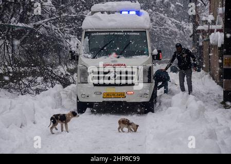 Kaschmir, Indien , 23/02/2022, Srinagar, Indien. 23rd. Februar 2022. Während des starken Schneefalls in Srinagar ist ein Krankenwagen auf einer schneebedeckten Straße festgeklemmt.das Kaschmir-Tal erwachte am Mittwochmorgen durch eine schwere Schneedecke, die das normale Leben der Menschen gestört hat. Der Flugbetrieb, der Oberflächentransport und die Routineaktivitäten des Lebens kamen zum Stillstand. Kredit: SOPA Images Limited/Alamy Live Nachrichten Stockfoto