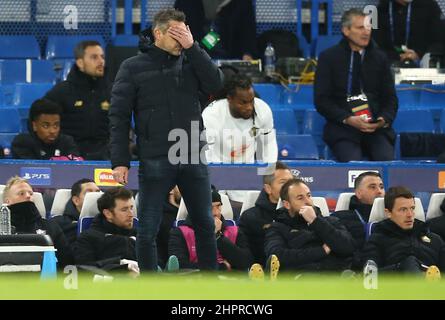 London, Gbr. 22nd. Februar 2022. Jocelyn Gourvennec-Managerin von Lille reagiert während des Fußballspiels Chelsea gegen Lille, UEFA Champions League, Stamford Bridge, London, Großbritannien - 22. Februar 2022 Quelle: Michael Zemanek/Alamy Live News Stockfoto