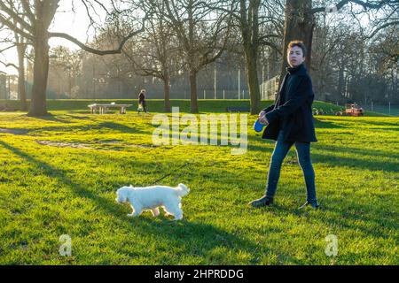 Ein Junge aus der Vorstufe geht mit einem kleinen, weißen Hund im Park spazieren. Stockfoto