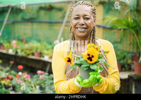 Afrikanische ältere Frau, die im Gewächshausgarten arbeitet - Kindergarten- und Frühlingskonzept - Fokus auf Gesicht Stockfoto