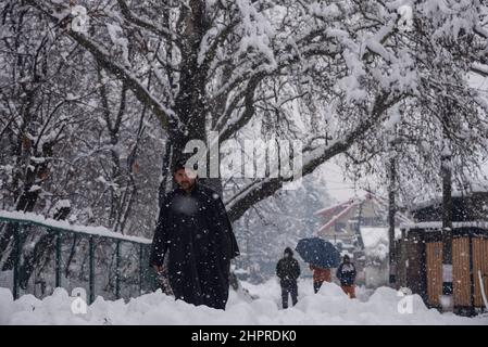 Während des starken Schneefalls in Srinagar wandern die Bewohner durch eine schneebedeckte Straße.das Kaschmir-Tal erwachte am Mittwochmorgen durch eine schwere Schneedecke, die das normale Leben der Menschen gestört hat. Der Flugbetrieb, der Oberflächentransport und die Routineaktivitäten des Lebens kamen zum Stillstand. (Foto von Idrees Abbas / SOPA Images/Sipa USA) Stockfoto