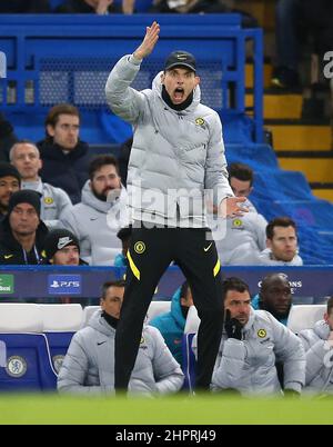 London, Gbr. 22nd. Februar 2022. Thomas Tuchel Manager von Chelsea reagiert Kredit: Michael Zemanek/Alamy Live News Stockfoto