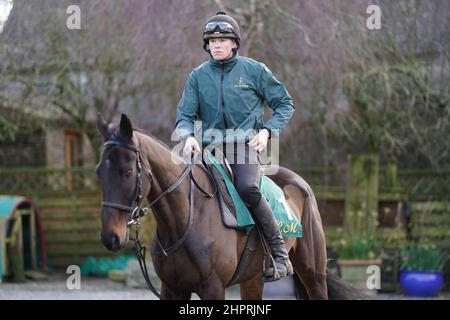 Al Boum Foto mit Paul Roche während des Besuchs auf dem Hof von Willie Mullins in Closutton, Bagenalstown. Bilddatum: Mittwoch, 23. Februar 2022. Stockfoto