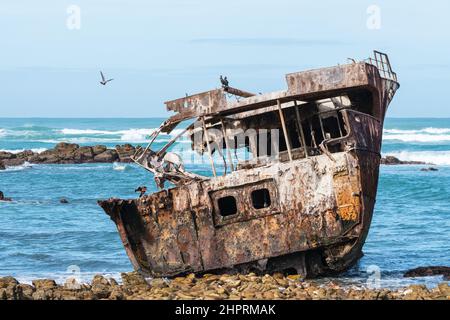Schiffswrack Meisho Maru Nr. 38 verrostet und auf den Felsen am Cape Agulhas, Westkap, Südafrika Stockfoto