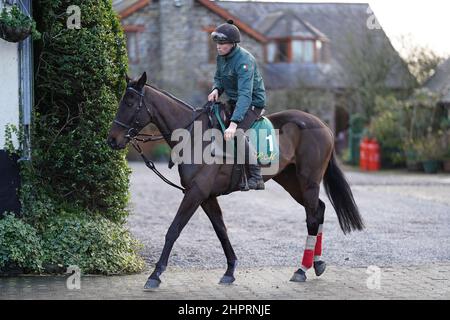 Al Boum Foto mit Paul Roche während des Besuchs auf dem Hof von Willie Mullins in Closutton, Bagenalstown. Bilddatum: Mittwoch, 23. Februar 2022. Stockfoto