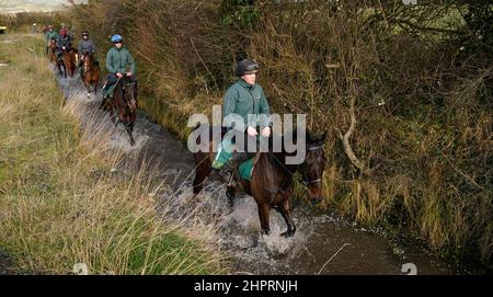 Al Boum Foto mit Paul Roche während des Besuchs auf dem Hof von Willie Mullins in Closutton, Bagenalstown. Bilddatum: Mittwoch, 23. Februar 2022. Stockfoto