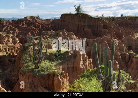 Die außergewöhnlichen Farben der Tatacoa-Wüste, Kolumbien Stockfoto