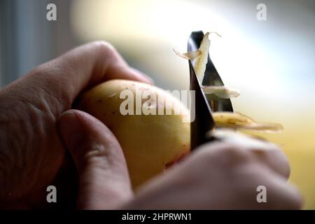 Kartoffelschälen Foto Janerik Henriksson / TT-Code 10010 Stockfoto