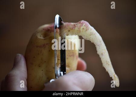 Kartoffelschälen Foto Janerik Henriksson / TT-Code 10010 Stockfoto