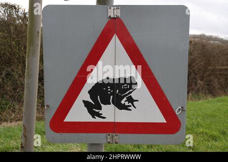 Warnung Frogs-Schild in der Nähe von Staunton, Gloucestershire Bild von Antony Thompson - tausend Wortmedien, KEINE VERKÄUFE, KEINE SYNDIZIERUNG. Kontaktieren Sie für weitere Informationen Stockfoto