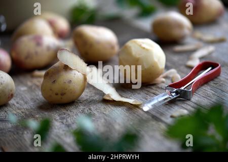 Kartoffeln Foto Janerik Henriksson / TT-Code 10010 Stockfoto