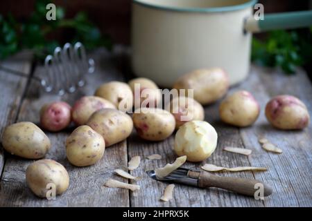 Kartoffeln Foto Janerik Henriksson / TT-Code 10010 Stockfoto