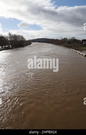 The River Severn in Flood at Haw Bridge, Tirley, Gloucestershire Bild von Antony Thompson - Thousand Word Media, NO SALES, NO SYNDICATION. Kontakt Stockfoto