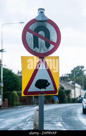 In ganz Großbritannien - Straßenmöbel - Igel - keine U-Turn-Beschilderung Stockfoto