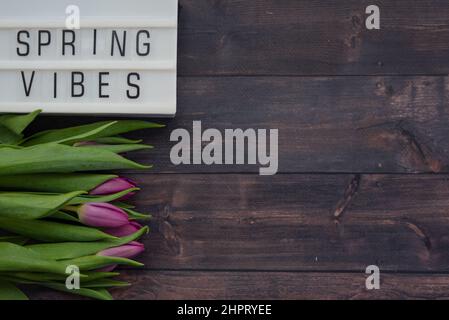 Violette Tulpen auf dunklem Untergrund aus Holz Stockfoto