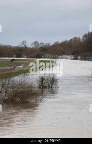 Tewkesbury, Gloucestershire, Großbritannien. 23. Februar 2022. River Severn eine Meile nördlich der alten Stadt Tewkesbury am Rande der Überschwemmung in der Nähe der Mythe Wasseraufbereitungsarbeiten. Kredit: Thousand Word Media Ltd/Alamy Live Nachrichten Stockfoto