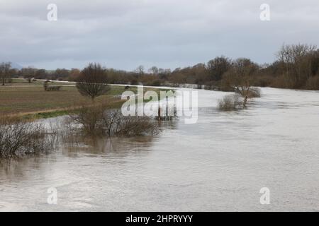 Tewkesbury, Gloucestershire, Großbritannien. 23. Februar 2022. River Severn eine Meile nördlich der alten Stadt Tewkesbury am Rande der Überschwemmung in der Nähe der Mythe Wasseraufbereitungsarbeiten. Kredit: Thousand Word Media Ltd/Alamy Live Nachrichten Stockfoto