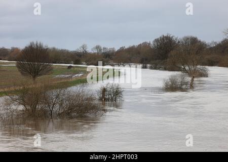 Tewkesbury, Gloucestershire, Großbritannien. 23. Februar 2022. River Severn eine Meile nördlich der alten Stadt Tewkesbury am Rande der Überschwemmung in der Nähe der Mythe Wasseraufbereitungsarbeiten. Kredit: Thousand Word Media Ltd/Alamy Live Nachrichten Stockfoto