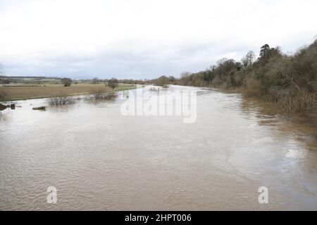 Tewkesbury, Gloucestershire, Großbritannien. 23. Februar 2022. River Severn eine Meile nördlich der alten Stadt Tewkesbury am Rande der Überschwemmung in der Nähe der Mythe Wasseraufbereitungsarbeiten. Kredit: Thousand Word Media Ltd/Alamy Live Nachrichten Stockfoto