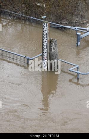 Tewkesbury, Gloucestershire, Großbritannien. 23. Februar 2022. River Severn eine Meile nördlich der alten Stadt Tewkesbury am Rande der Überschwemmung in der Nähe der Mythe Wasseraufbereitungsarbeiten. Kredit: Thousand Word Media Ltd/Alamy Live Nachrichten Stockfoto