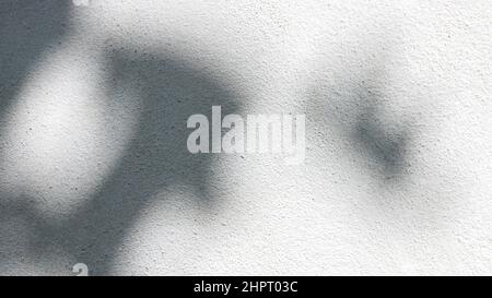 Schwarz und Weiß abstrakt Hintergrund textuer der Schatten Lamelle auf einer Betonwand Stockfoto