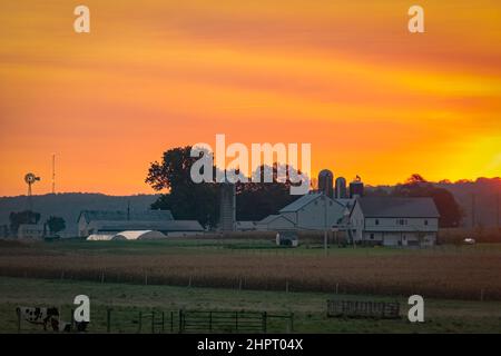 Blick auf einen Sonnenaufgang über einer Farm und Ackerland im frühen Herbst Stockfoto