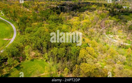 Luftaufnahme von Frühlingsbäumen und Landschaft mit Wegen und Straßen, die durch sie laufen, an einem sonnigen Frühlingstag. Stockfoto