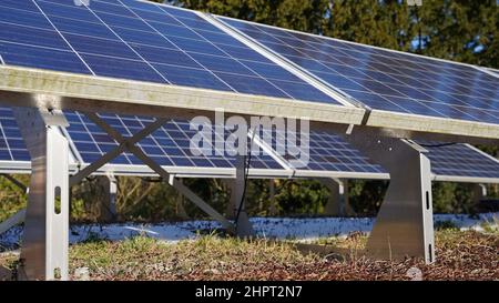 Sonnenkollektoren auf einem grünen Dachgarten mit blühenden Sedum-Pflanzen Stockfoto