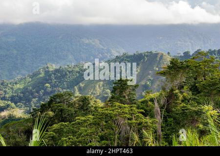 Blick auf die Dschungellandschaft der Sierra Nevada de Santa Marta in der Nähe der Lost City/Ciudad Perdida in Kolumbien Stockfoto