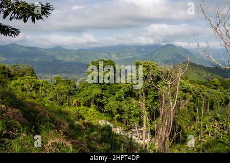 Blick auf die Dschungellandschaft der Sierra Nevada de Santa Marta in der Nähe der Lost City/Ciudad Perdida in Kolumbien Stockfoto