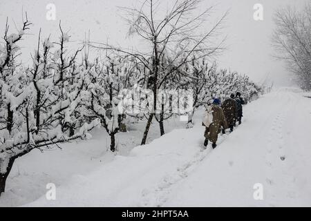 Srinagar, Indien. 23rd. Februar 2022. Menschen gehen am 23. Februar 2022 in Srinagar, Kaschmir, Indien, durch eine schneebedeckte Straße, Aufgrund von starkem Schneefall wurden die meisten der Flüge gestrichen und der Srinagar-Jammu National Highway wurde für Autofahrer gesperrt. (Fotos von Kamran Raashid Bhat/INA Photo Agency/Sipa USA) Quelle: SIPA USA/Alamy Live News Stockfoto