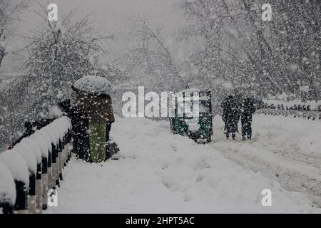 Srinagar, Indien. 23rd. Februar 2022. Menschen gehen am 23. Februar 2022 in Srinagar, Kaschmir, Indien, durch eine schneebedeckte Straße, Aufgrund von starkem Schneefall wurden die meisten der Flüge gestrichen und der Srinagar-Jammu National Highway wurde für Autofahrer gesperrt. (Fotos von Kamran Raashid Bhat/INA Photo Agency/Sipa USA) Quelle: SIPA USA/Alamy Live News Stockfoto