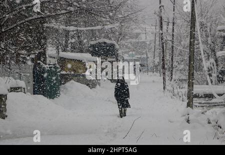 Srinagar, Indien. 23rd. Februar 2022. Menschen gehen am 23. Februar 2022 in Srinagar, Kaschmir, Indien, durch eine schneebedeckte Straße, Aufgrund von starkem Schneefall wurden die meisten der Flüge gestrichen und der Srinagar-Jammu National Highway wurde für Autofahrer gesperrt. (Fotos von Kamran Raashid Bhat/INA Photo Agency/Sipa USA) Quelle: SIPA USA/Alamy Live News Stockfoto