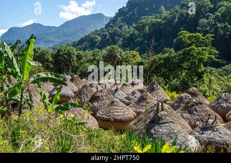 Indigene Kogi-Stammeshütten in der Nähe der Lost City/Ciudad Perdida in Kolumbien Stockfoto