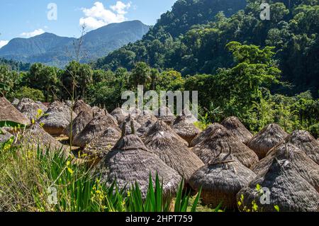 Indigene Kogi-Stammeshütten in der Nähe der Lost City/Ciudad Perdida in Kolumbien Stockfoto