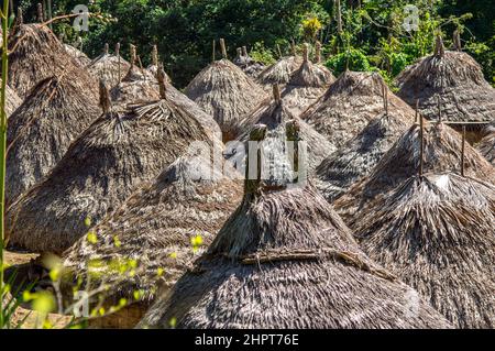 Indigene Kogi-Stammeshütten in der Nähe der Lost City/Ciudad Perdida in Kolumbien Stockfoto