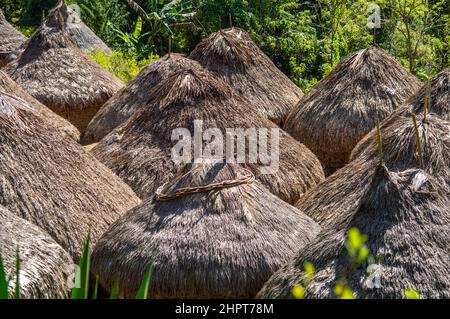 Indigene Kogi-Stammeshütten in der Nähe der Lost City/Ciudad Perdida in Kolumbien Stockfoto