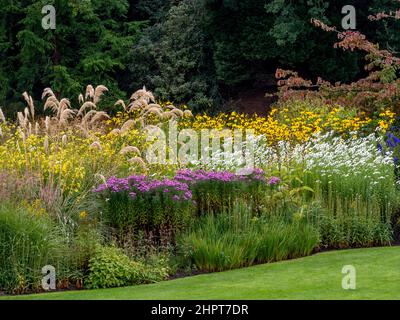 Blumenbeet mit Präriebepflanzung in einem britischen Garten. Stockfoto