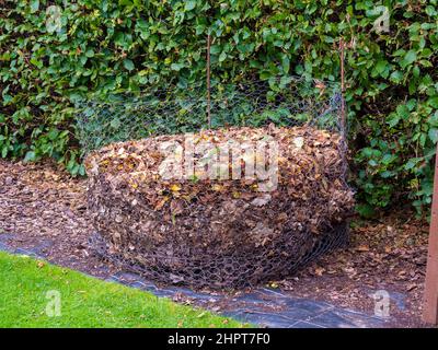 Hausgemachter Hähnchendraht-Kompostbehälter mit Blättern zur Herstellung von Blattform. Stockfoto