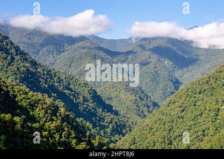 Blick auf die Dschungellandschaft der Sierra Nevada de Santa Marta in der Nähe der Lost City/Ciudad Perdida in Kolumbien Stockfoto