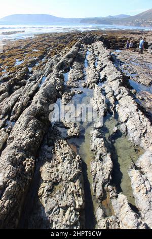 Pismo Beach Tide Pools, Kalifornien Stockfoto