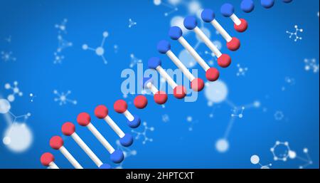 Bild von dna-Strangspinnung und Molekülen auf blauem Hintergrund Stockfoto