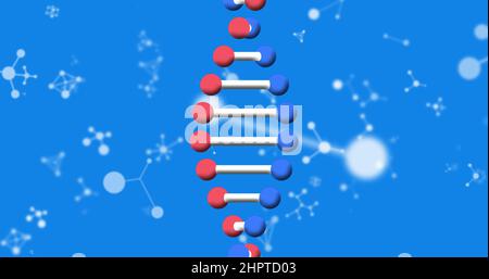 Bild von dna-Strangspinnung und Molekülen auf blauem Hintergrund Stockfoto