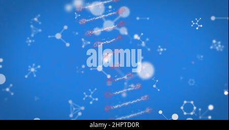 Bild von dna-Strangspinnung und Molekülen auf blauem Hintergrund Stockfoto