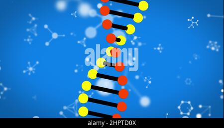 Bild von dna-Strangspinnung und Molekülen auf blauem Hintergrund Stockfoto